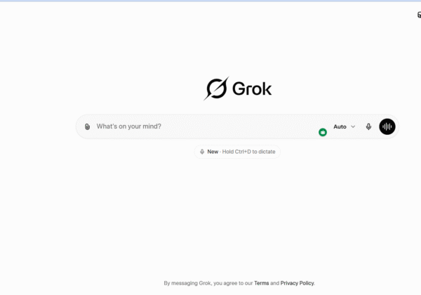 Grok website screenshot